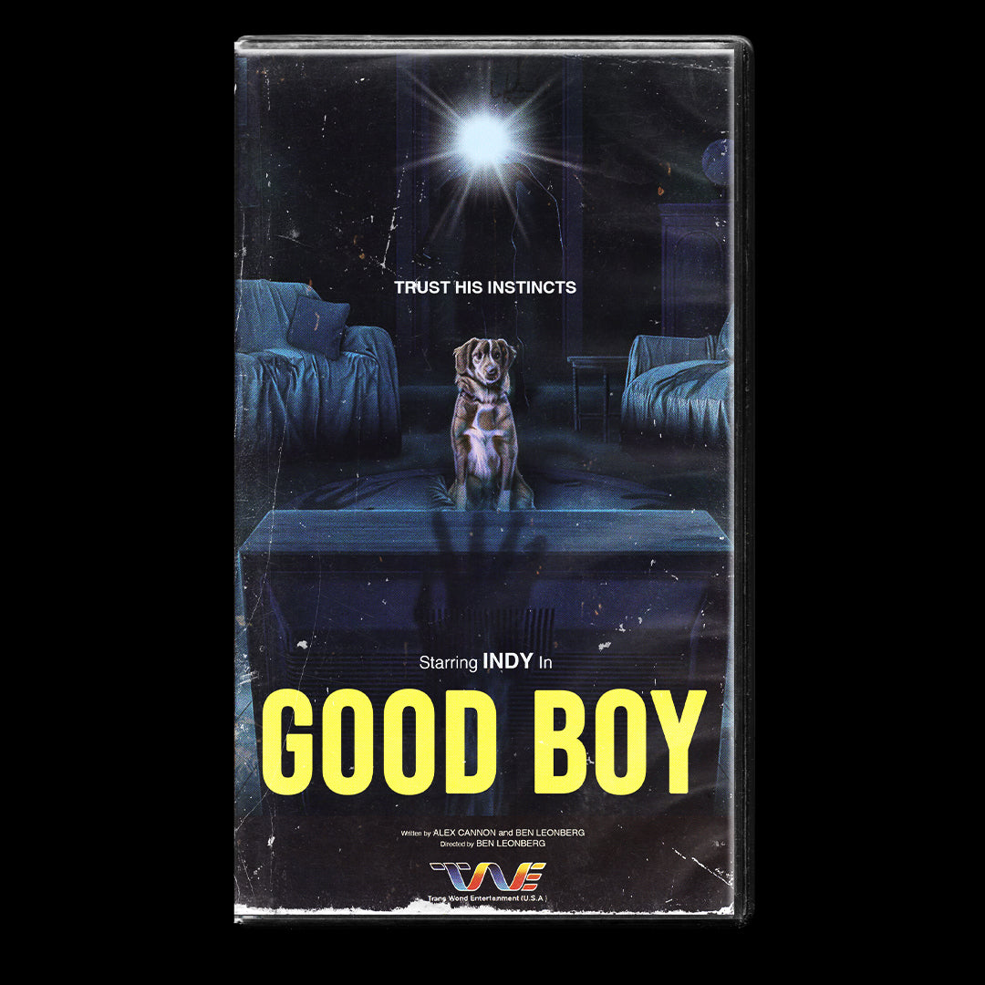 Good Boy VHS Artifact